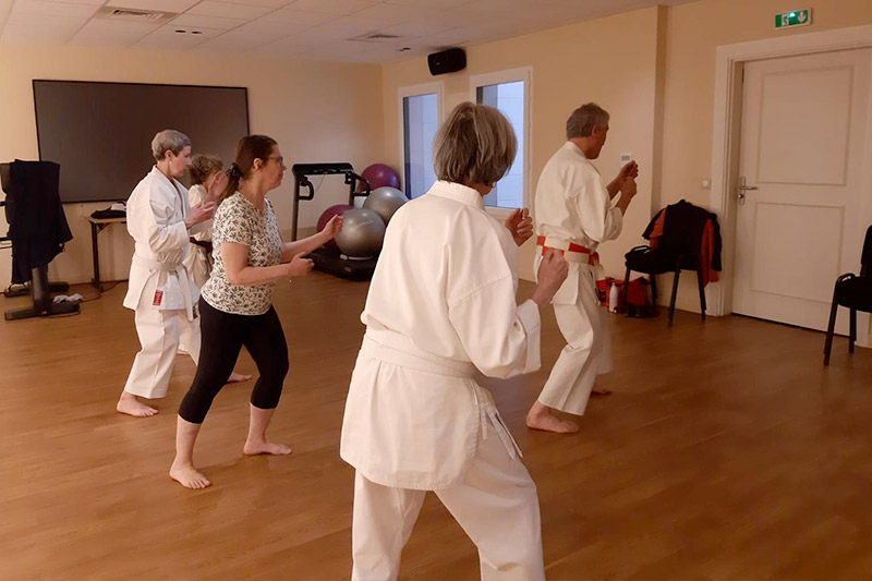 Cours d'Arts martiaux traditionnels